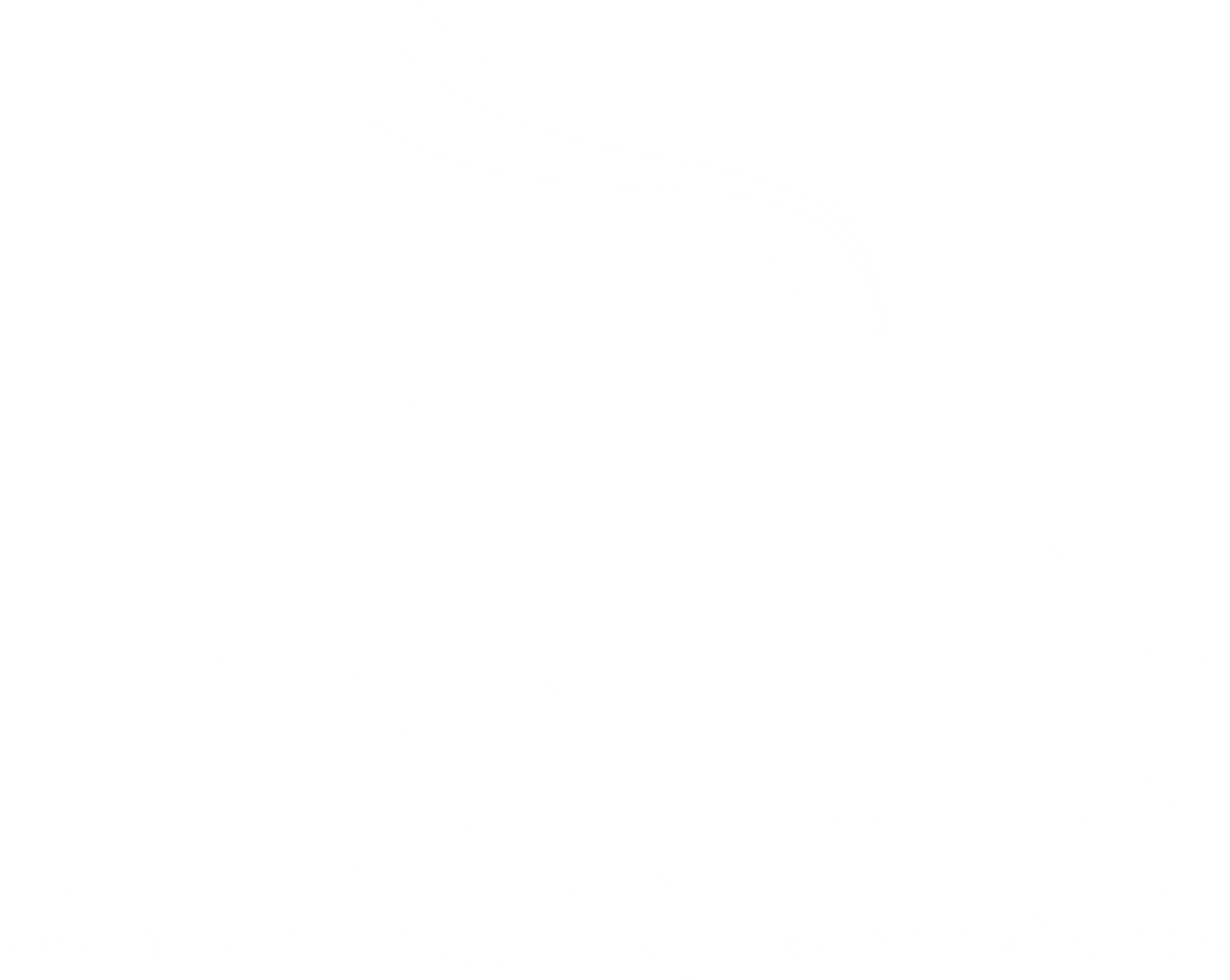 Hawk